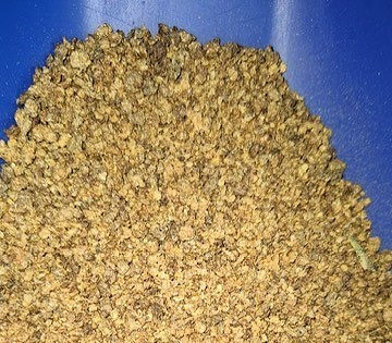 getrocknete Daphnien kaufen